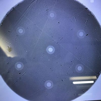 Çok Çekirdekli Optik Fiber Bilimsel Araştırma Ürünleri 6 altıgen düzenlenmiş